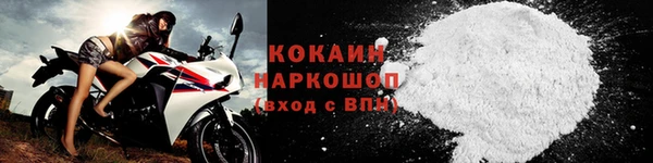 СК Зеленокумск