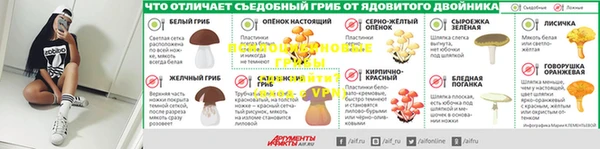 СК Зеленокумск