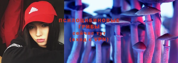 СК Зеленокумск