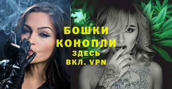 СК Зеленокумск