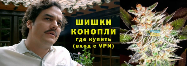 СК Зеленокумск
